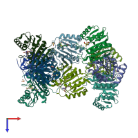 PDB entry 3eey coloured by chain, top view.