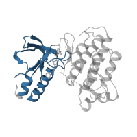 The deposited structure of PDB entry 3efj contains 2 copies of CATH domain 3.30.200.20 (Phosphorylase Kinase; domain 1) in Hepatocyte growth factor receptor. Showing 1 copy in chain A.