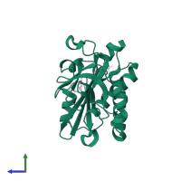 biotin--[biotin carboxyl-carrier protein] ligase in PDB entry 3efr, assembly 2, side view.