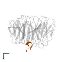 MLL cleavage product C180 in PDB entry 3eg6, assembly 1, top view.