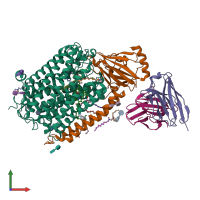 PDB entry 3ehb coloured by chain, front view.