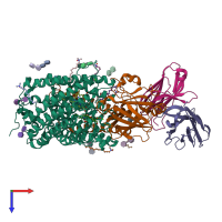 PDB entry 3ehb coloured by chain, top view.