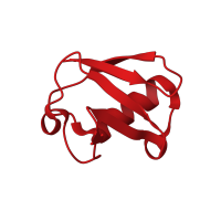 The deposited structure of PDB entry 3ehv contains 3 copies of CATH domain 3.10.20.90 (Ubiquitin-like (UB roll)) in Ubiquitin. Showing 1 copy in chain B.