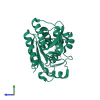 Ricin A chain in PDB entry 3ej5, assembly 1, side view.