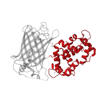 The deposited structure of PDB entry 3ekh contains 1 copy of CATH domain 1.10.238.10 (Recoverin; domain 1) in Calmodulin-1. Showing 1 copy in chain A.