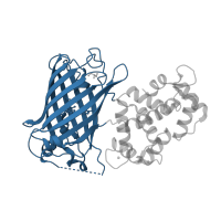 The deposited structure of PDB entry 3ekh contains 1 copy of CATH domain 2.40.155.10 (Green Fluorescent Protein) in Calmodulin-1. Showing 1 copy in chain A.