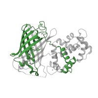 The deposited structure of PDB entry 3ekh contains 1 copy of Pfam domain PF01353 (Green fluorescent protein) in Calmodulin-1. Showing 1 copy in chain A.