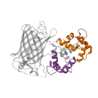 The deposited structure of PDB entry 3ekh contains 2 copies of Pfam domain PF13499 (EF-hand domain pair) in Calmodulin-1. Showing 2 copies in chain A.