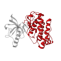 The deposited structure of PDB entry 3ekk contains 1 copy of CATH domain 1.10.510.10 (Transferase(Phosphotransferase); domain 1) in Insulin receptor subunit beta. Showing 1 copy in chain A.