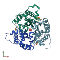 PDB entry 3elc coloured by chain, front view.