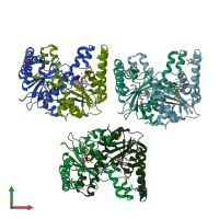 PDB entry 3eo8 coloured by chain, front view.