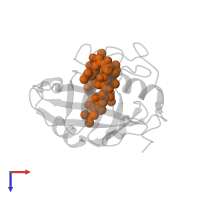 CYCLOSPORIN A in PDB entry 3eov, assembly 2, top view.