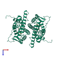 Homo dimeric assembly 1 of PDB entry 3ert coloured by chemically distinct molecules, top view.