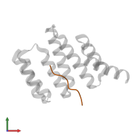 Heat shock cognate 71 kDa protein in PDB entry 3esk, assembly 1, front view.