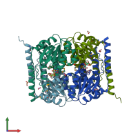 PDB entry 3etn coloured by chain, front view.