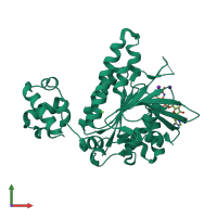 PDB entry 3ew9 coloured by chain, front view.