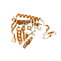 The deposited structure of PDB entry 3exg contains 16 copies of CATH domain 3.40.50.970 (Rossmann fold) in Pyruvate dehydrogenase E1 component subunit alpha, somatic form, mitochondrial. Showing 1 copy in chain E.