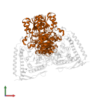 Pyruvate dehydrogenase E1 component subunit beta, mitochondrial in PDB entry 3exh, assembly 2, front view.