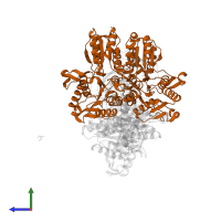 Pyruvate dehydrogenase E1 component subunit beta, mitochondrial in PDB entry 3exh, assembly 2, side view.