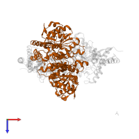 Pyruvate dehydrogenase E1 component subunit beta, mitochondrial in PDB entry 3exh, assembly 2, top view.