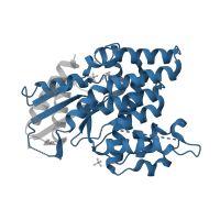 The deposited structure of PDB entry 3f0t contains 2 copies of Pfam domain PF00693 (Thymidine kinase from herpesvirus) in Thymidine kinase. Showing 1 copy in chain B.