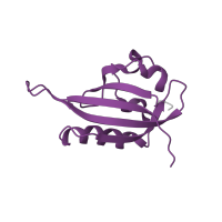 The deposited structure of PDB entry 3f1o contains 1 copy of Pfam domain PF14598 (PAS domain) in Aryl hydrocarbon receptor nuclear translocator. Showing 1 copy in chain B.