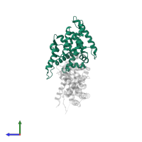 Nuclear receptor subfamily 5 group A member 2 in PDB entry 3f5c, assembly 1, side view.