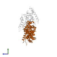 Nuclear receptor subfamily 0 group B member 1 in PDB entry 3f5c, assembly 1, side view.