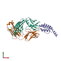 PDB entry 3f5w coloured by chain, front view.