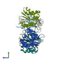 PDB entry 3f6r coloured by chain, side view.