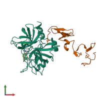 Hetero dimeric assembly 1 of PDB entry 3f6u coloured by chemically distinct molecules, front view.