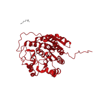 The deposited structure of PDB entry 3f80 contains 2 copies of CATH domain 3.40.800.10 (Arginase; Chain A) in Arginase-1. Showing 1 copy in chain A.