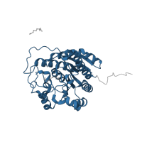 The deposited structure of PDB entry 3f80 contains 2 copies of Pfam domain PF00491 (Arginase family) in Arginase-1. Showing 1 copy in chain A.