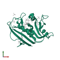 Dihydrofolate reductase in PDB entry 3f8z, assembly 1, front view.