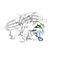 The deposited structure of PDB entry 3fcu contains 6 copies of Pfam domain PF01839 (FG-GAP repeat) in Integrin alpha-IIb heavy chain. Showing 2 copies in chain A.