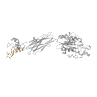 The deposited structure of PDB entry 3fcu contains 3 copies of Pfam domain PF18372 (Integrin beta epidermal growth factor like domain 1) in Integrin beta-3. Showing 1 copy in chain B.