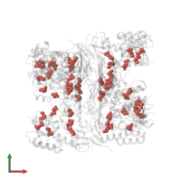 Modified residue MSE in PDB entry 3fd8, assembly 1, front view.
