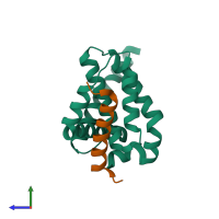 PDB entry 3fdl coloured by chain, side view.