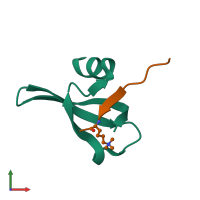 Hetero dimeric assembly 1 of PDB entry 3fdt coloured by chemically distinct molecules, front view.