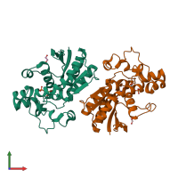 PDB entry 3fdz coloured by chain, front view.