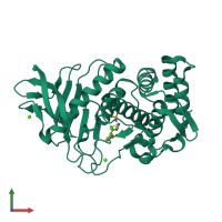 PDB entry 3fgd coloured by chain, front view.