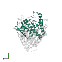 Putative phospholipase B-like 2 28 kDa form in PDB entry 3fgt, assembly 1, side view.