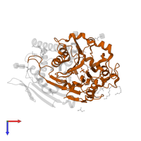 Putative phospholipase B-like 2 40 kDa form in PDB entry 3fgt, assembly 1, top view.