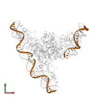 5'-D(*TP*GP*TP*TP*GP*CP*AP*TP*AP*AP*CP*GP*AP*TP*GP*CP*AP*AP*AP*A)-3' in PDB entry 3fhz, assembly 1, front view.