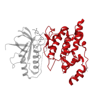 The deposited structure of PDB entry 3fi2 contains 1 copy of CATH domain 1.10.510.10 (Transferase(Phosphotransferase); domain 1) in Mitogen-activated protein kinase 10. Showing 1 copy in chain A.