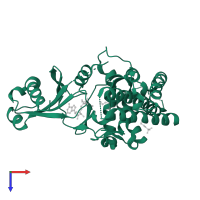 Choline kinase in PDB entry 3fi8, assembly 1, top view.