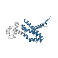 The deposited structure of PDB entry 3fiw contains 4 copies of CATH domain 1.10.357.10 (Tetracycline Repressor; domain 2) in HTH tetR-type domain-containing protein. Showing 1 copy in chain A.