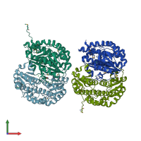 PDB entry 3fj1 coloured by chain, front view.