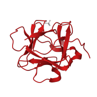 The deposited structure of PDB entry 3fjc contains 2 copies of CATH domain 2.80.10.50 (Trefoil (Acidic Fibroblast Growth Factor, subunit A)) in Fibroblast growth factor 1. Showing 1 copy in chain A.