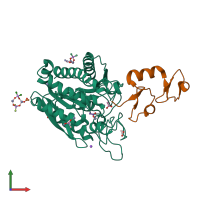 PDB entry 3fju coloured by chain, front view.